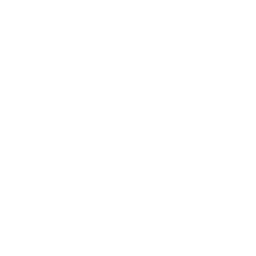 /white/png/256/angle-double-left.png