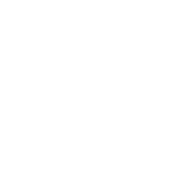 /white/png/256/angle-double-right.png