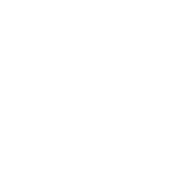 /white/png/256/angle-double-up.png