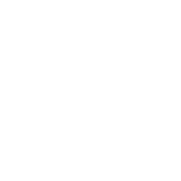 /white/png/256/angle-up.png