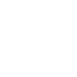 /white/png/256/asterisk.png