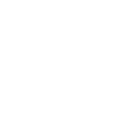 /white/png/256/backward.png