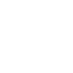 /white/png/256/bandcamp.png