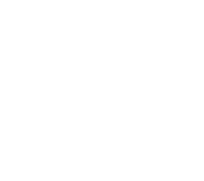 /white/png/256/behance.png