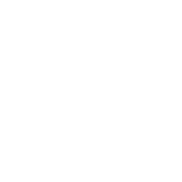 /white/png/256/black-tie.png