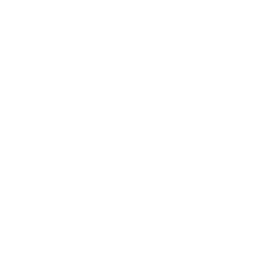 /white/png/256/bluetooth.png
