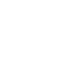 /white/png/256/bomb.png