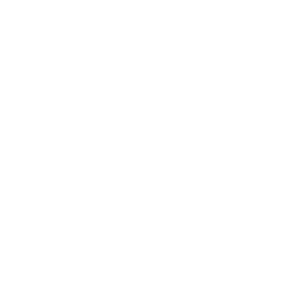 /white/png/256/bug.png