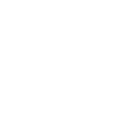 /white/png/256/bullseye.png