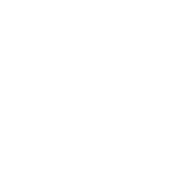 /white/png/256/caret-left.png