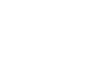 /white/png/256/cc-paypal.png