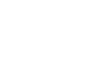 /white/png/256/cc.png