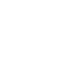 /white/png/256/chain.png