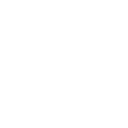 /white/png/256/chevron-right.png