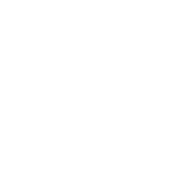 /white/png/256/chrome.png