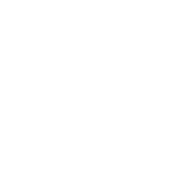/white/png/256/circle.png