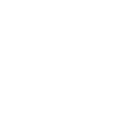 /white/png/256/codepen.png