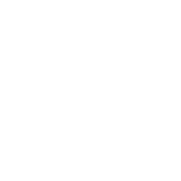 /white/png/256/cog.png