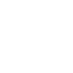 /white/png/256/compress.png