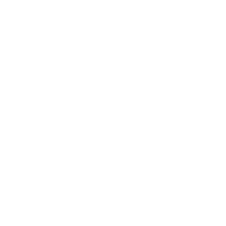 /white/png/256/dashcube.png