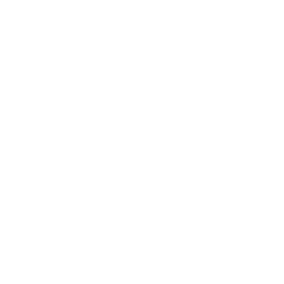/white/png/256/deviantart.png