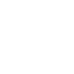 /white/png/256/dot-circle-o.png