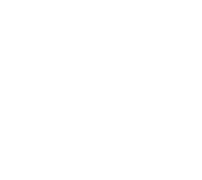 /white/png/256/drivers-license.png