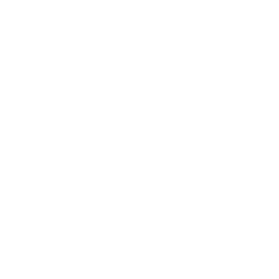 /white/png/256/external-link.png