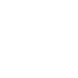 /white/png/256/file-video-o.png