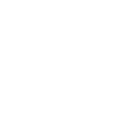 /white/png/256/file.png