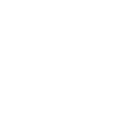 /white/png/256/files-o.png