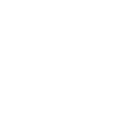 /white/png/256/flag-checkered.png