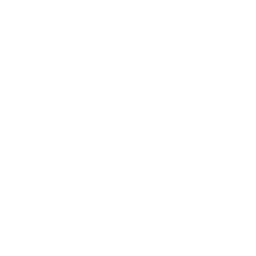 /white/png/256/forumbee.png