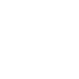/white/png/256/get-pocket.png