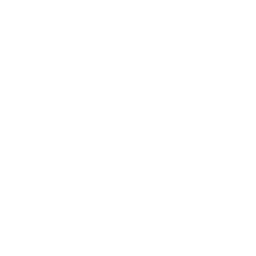 /white/png/256/globe.png