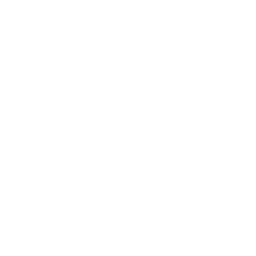 /white/png/256/intersex.png