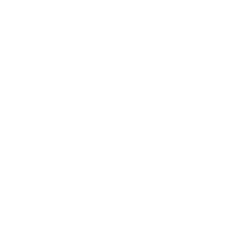 /white/png/256/krw.png
