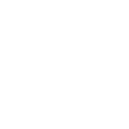 /white/png/256/lemon-o.png