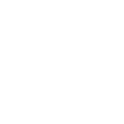 /white/png/256/level-up.png