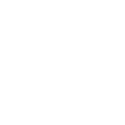 /white/png/256/life-saver.png