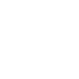 /white/png/256/magic.png