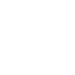 /white/png/256/mars-stroke-v.png