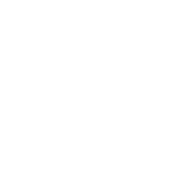 /white/png/256/mobile-phone.png