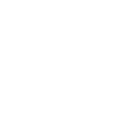 /white/png/256/modx.png