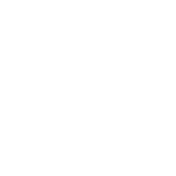 /white/png/256/neuter.png