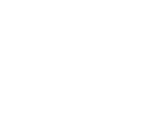 /white/png/256/newspaper-o.png