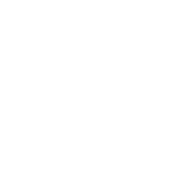 /white/png/256/pagelines.png