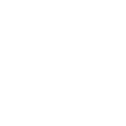/white/png/256/pause-circle.png