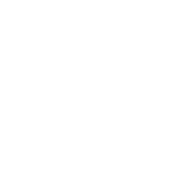 /white/png/256/pause.png