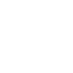 /white/png/256/paw.png